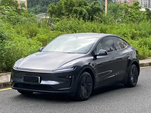 Tesla Model Y Задний привод