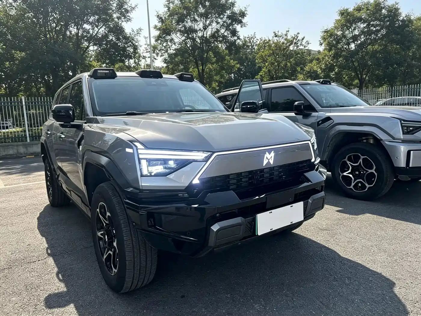2025 Mengshi M817