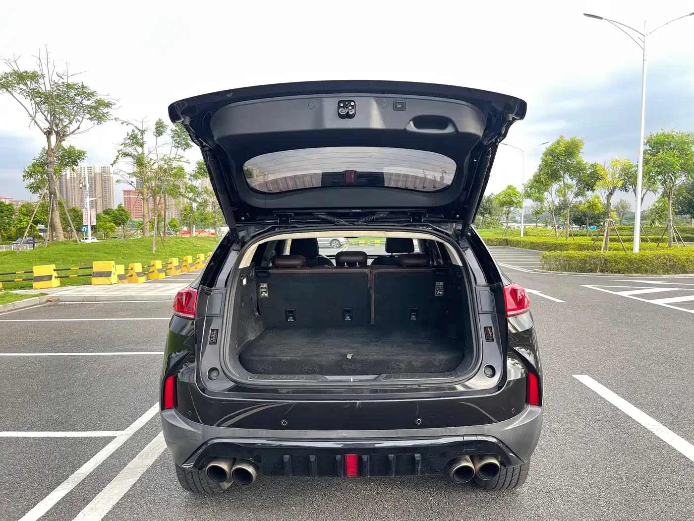 WEY P8 2018 2018 2.0T Exclusive