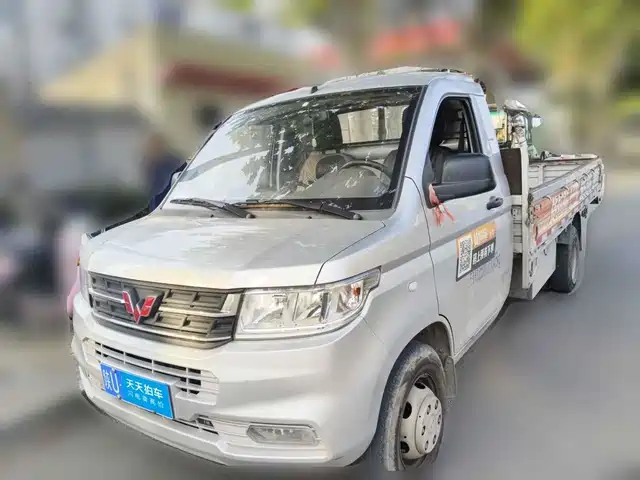  Wuling Motors Wuling Rongguang New Truck 2024 Model 2.0L Single Cab Extra Long Dual Rear Wheel Comfort