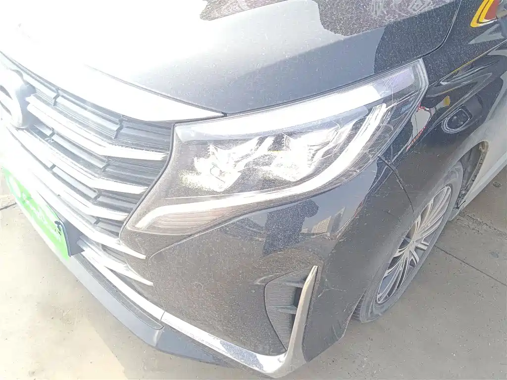 GAC Trumpchi Trumpchi M8 2021 Leading Show Series 390T Ultimate Edition фото 18