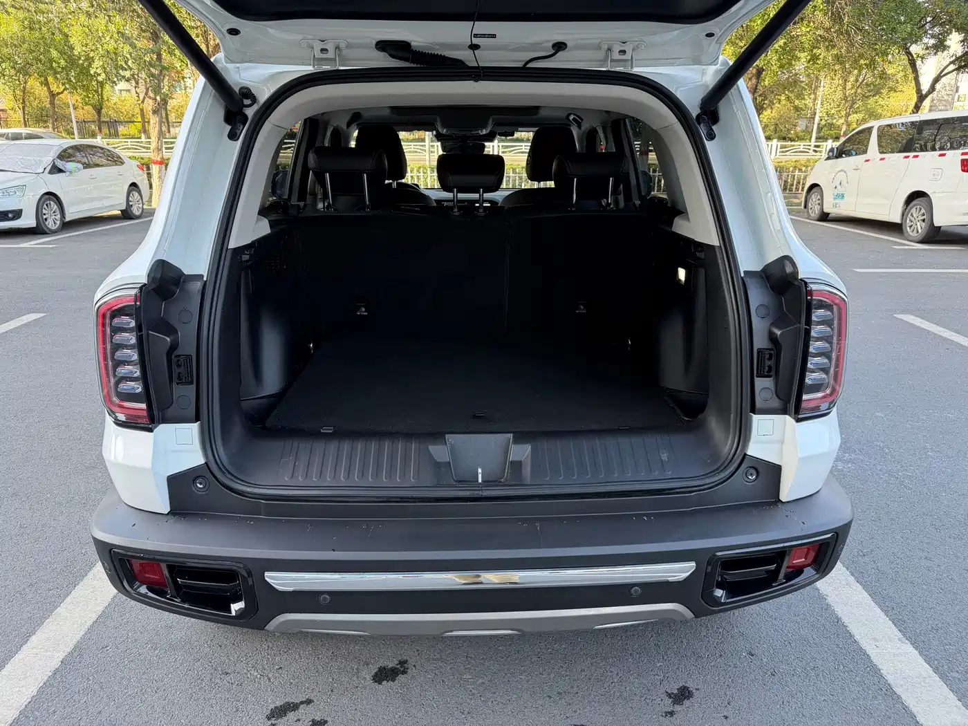Haval Dargo 2021 2021 2.0T DCT 4WD Chinese Rural Dog Edition