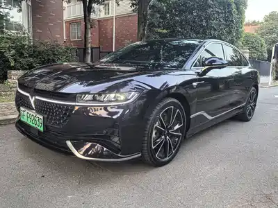 Voyah Passion