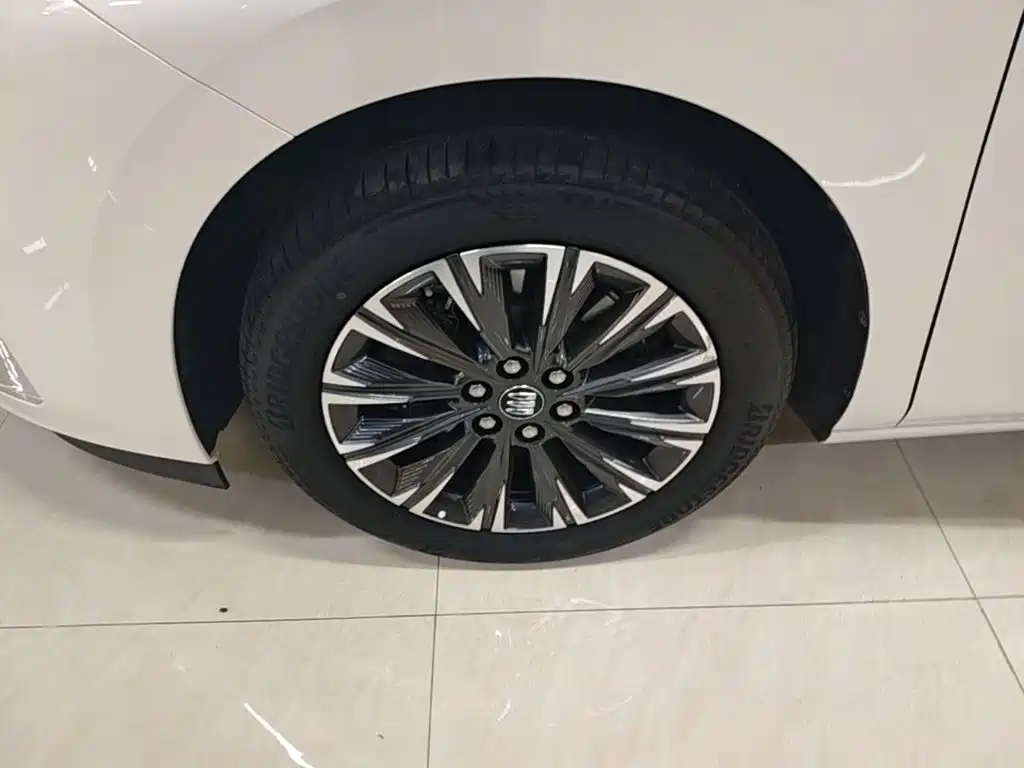 Фото 23 - Buick GL8
