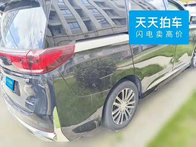 GAC Trumpchi Trumpchi M8 2021 Leading Show Series 390T Prestige Edition — фото 2