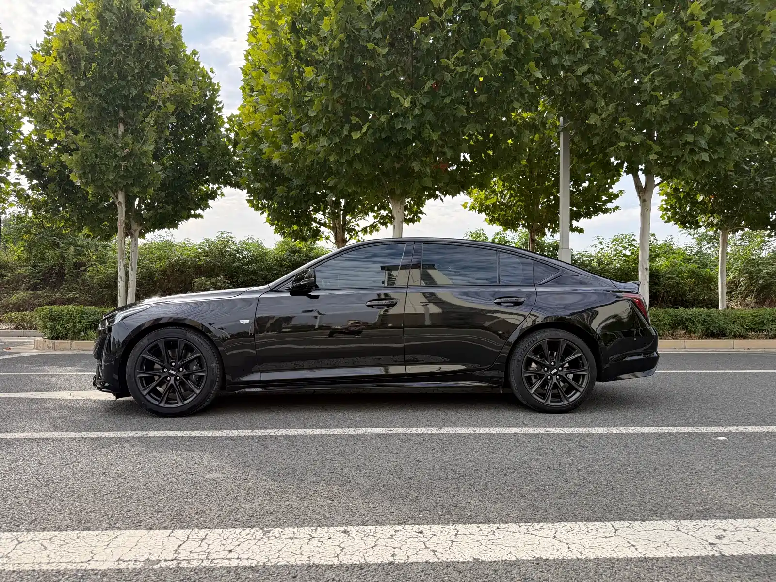 صورة 4 - Cadillac CT5