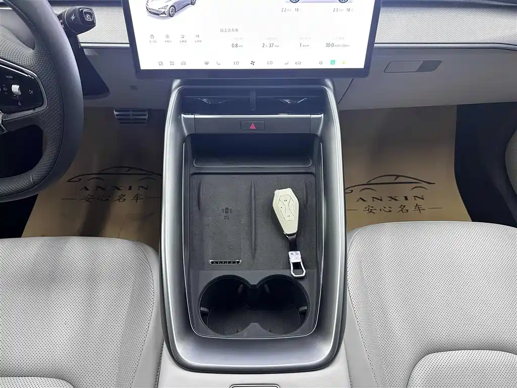 ARCFOX EXTREME FOX POLAR FOX ALPHA S5