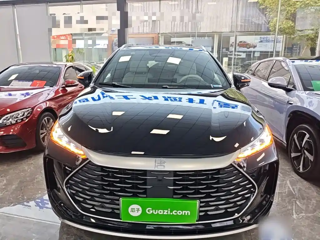 2025 BYD Tang New Energy