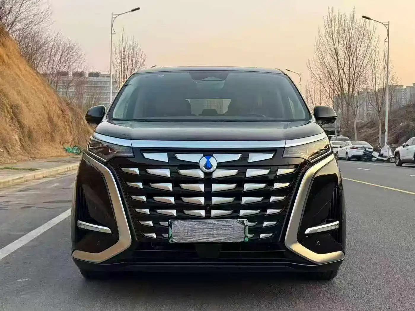 Denza D9 2022 DM-i 970 AWD Flagship фото 2