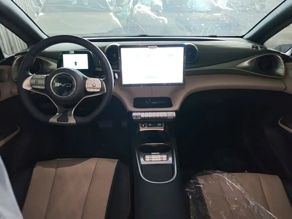 Photo 10 - BYD Dolphin