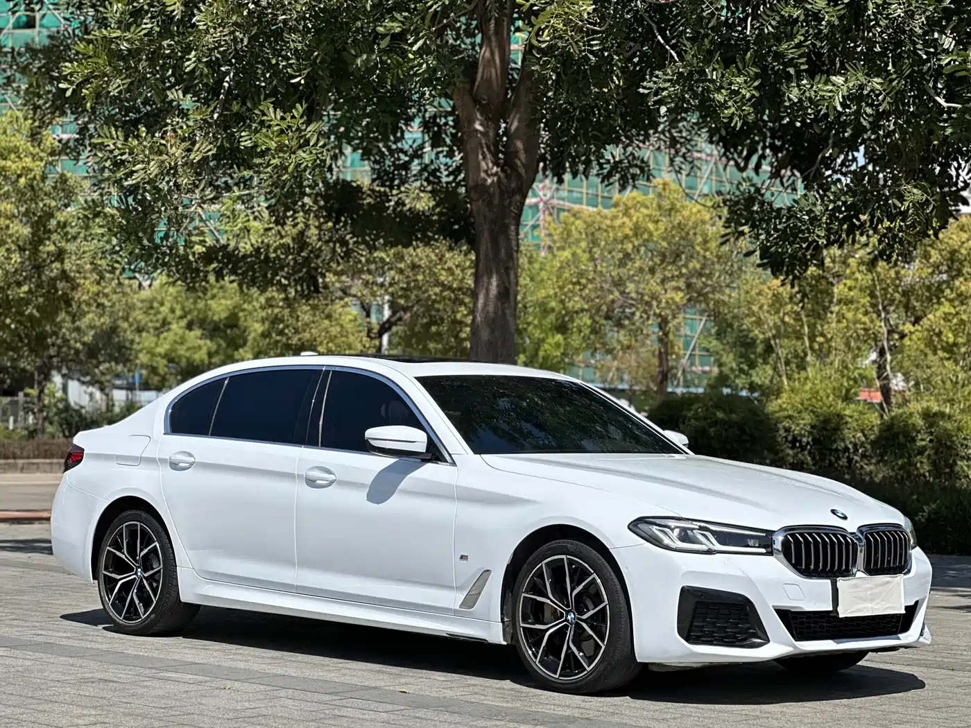 BMW 5 Series 2021 530Li Premium M Sport Package фото 2