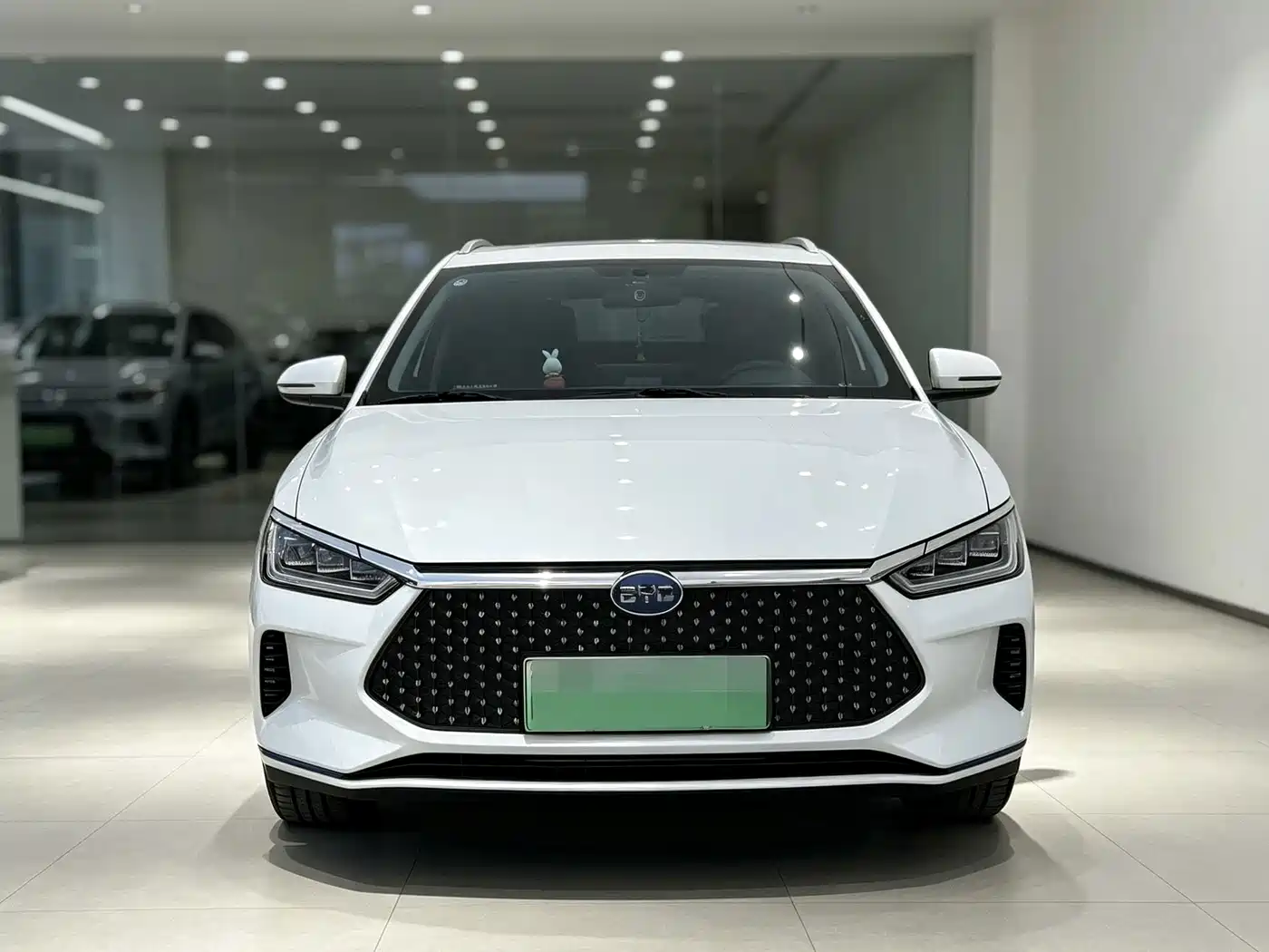 BYD e2 2022 2021 Luxury Edition
