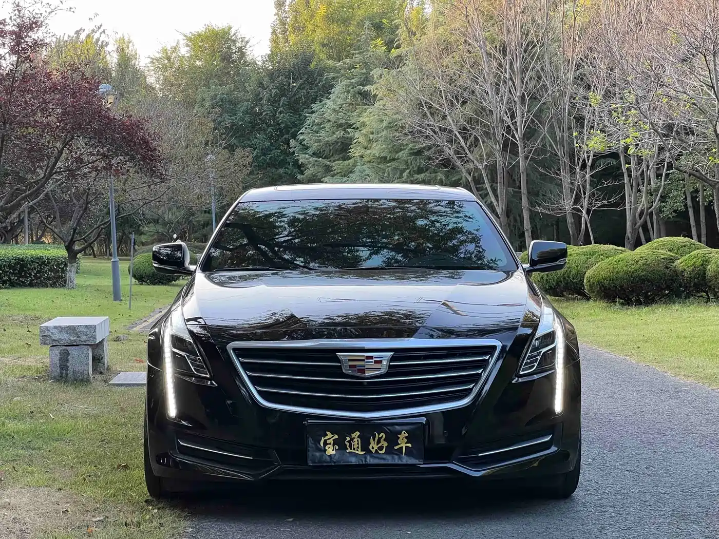 Cadillac CT6 2017 2017 28T Luxury