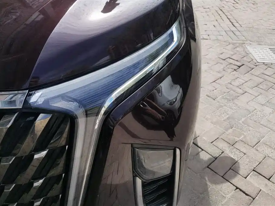 SAIC Maxus Maxus G90 2022 2.0T Galaxy 7-Seater Edition фото 5