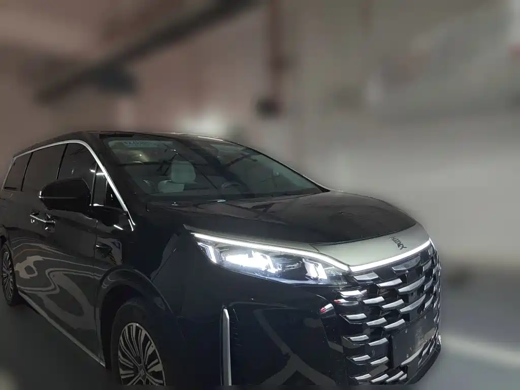BYD Xia 2025 2025 DM-i 1.5T 180km Excellence
