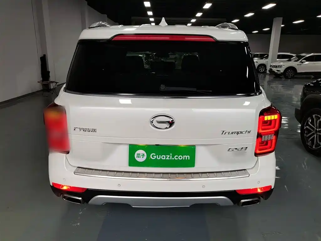 GAC Trumpchi Trumpchi GS8 2017 320T 2WD Luxury Smart Connect (7-seater) фото 6