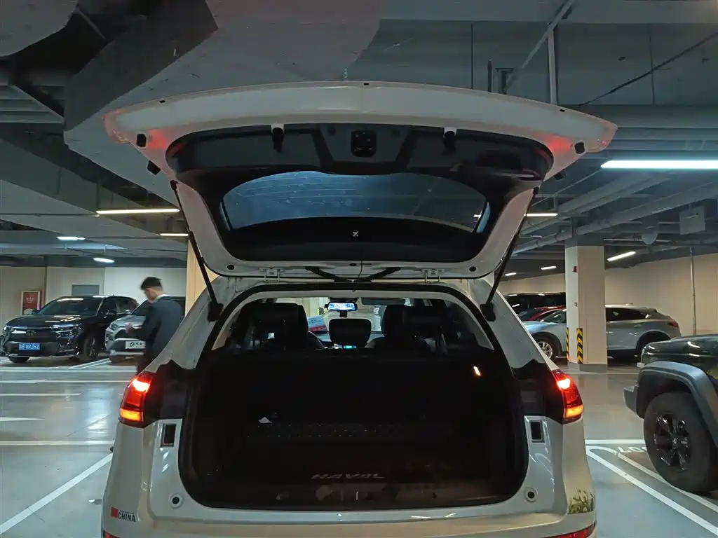 Haval H6 2020 2.0GDIT Automatic Platinum Champion Edition фото 15