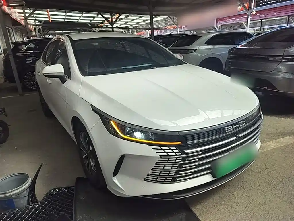 BYD Destroyer 05 2024 Glory Edition DM-i 55KM Luxury фото 4