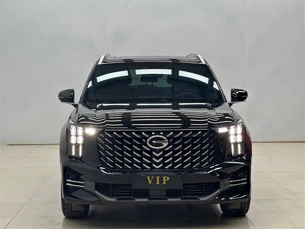 GAC Trumpchi Trumpchi GS8 2022 Pilot Series 2.0TGDI 2WD Luxury Smart Connect Edition (7-Seater) фото 2