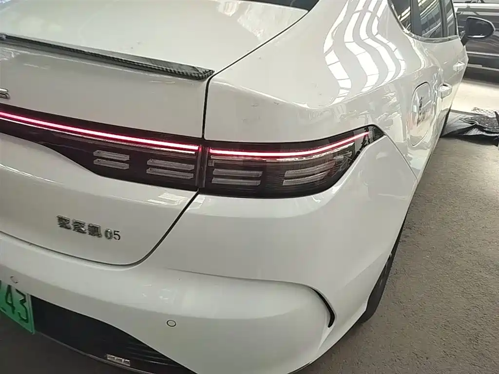 BYD Destroyer 05 2024 Glory Edition DM-i 55KM Luxury фото 8
