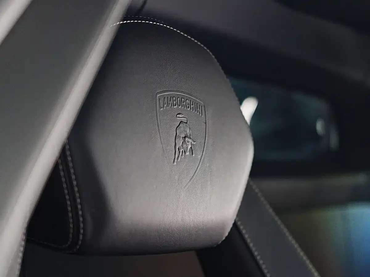 Lamborghini Aventador 2011 LP 700-4 фото 14