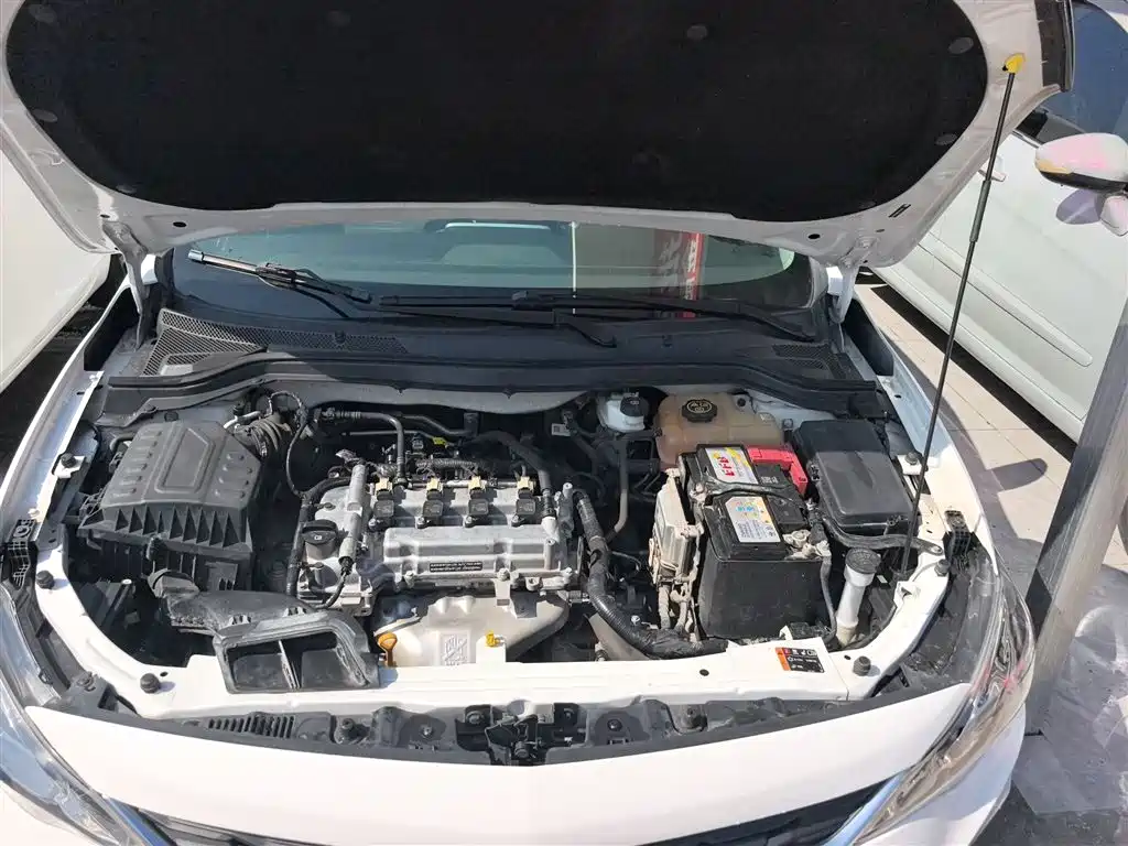 Chevrolet Cavalier 2019 320 Auto Sunroof Enjoyment Edition фото 19