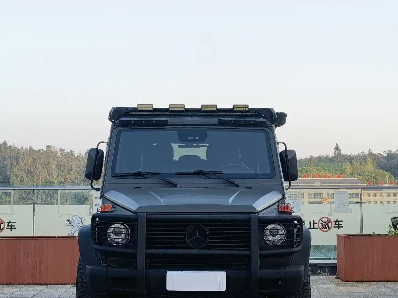 Mercedes-Benz G-Class 2004 G 500 фото 2