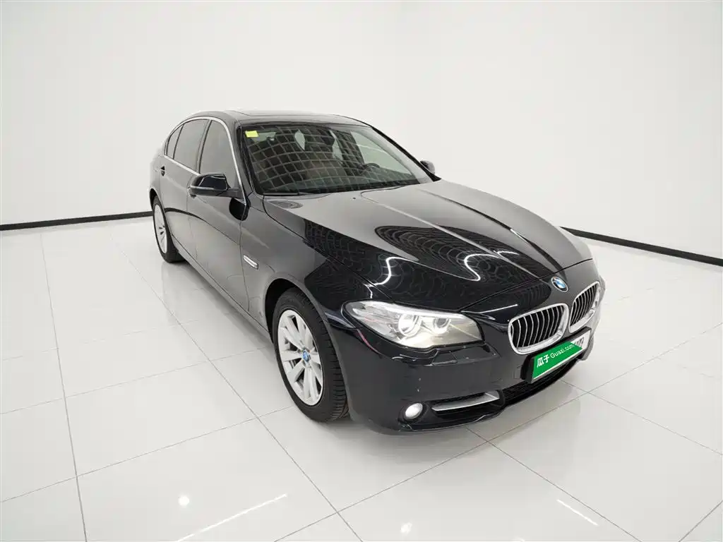 BMW 5 Series 2014 520Li Elegance фото 4