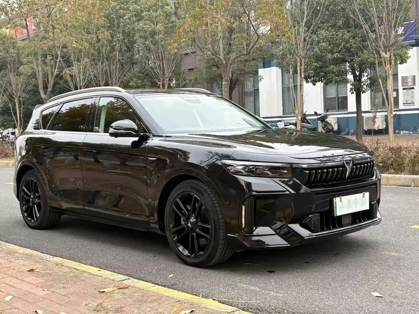 Voyah Auto VOYAH FREE 2024 Ultra Long Range Intelligent Driving Edition фото 3