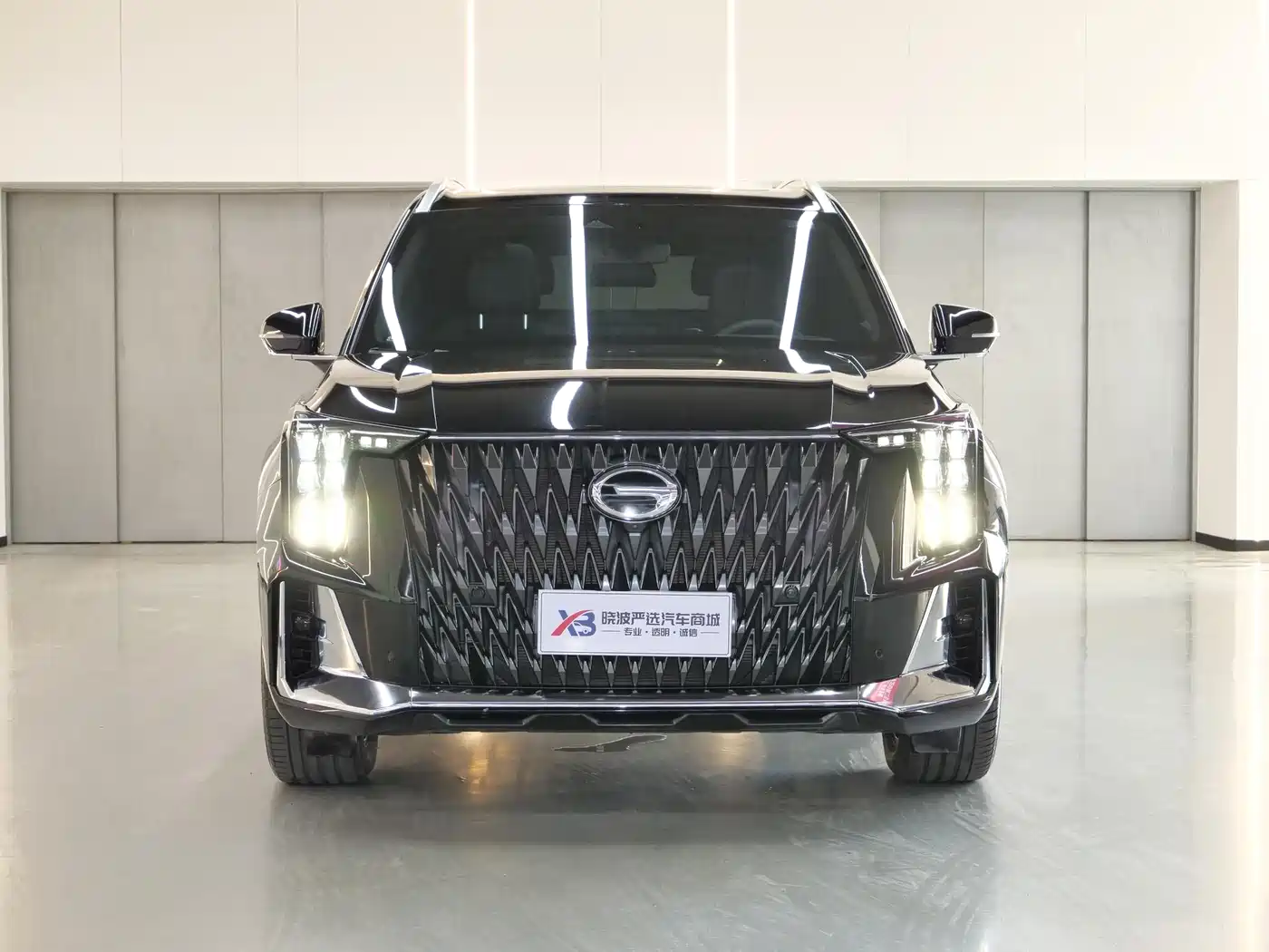 GAC Trumpchi Trumpchi GS8 2022 Dual Engine Series 2.0TM 2WD Premium Edition (7-Seater) фото 2