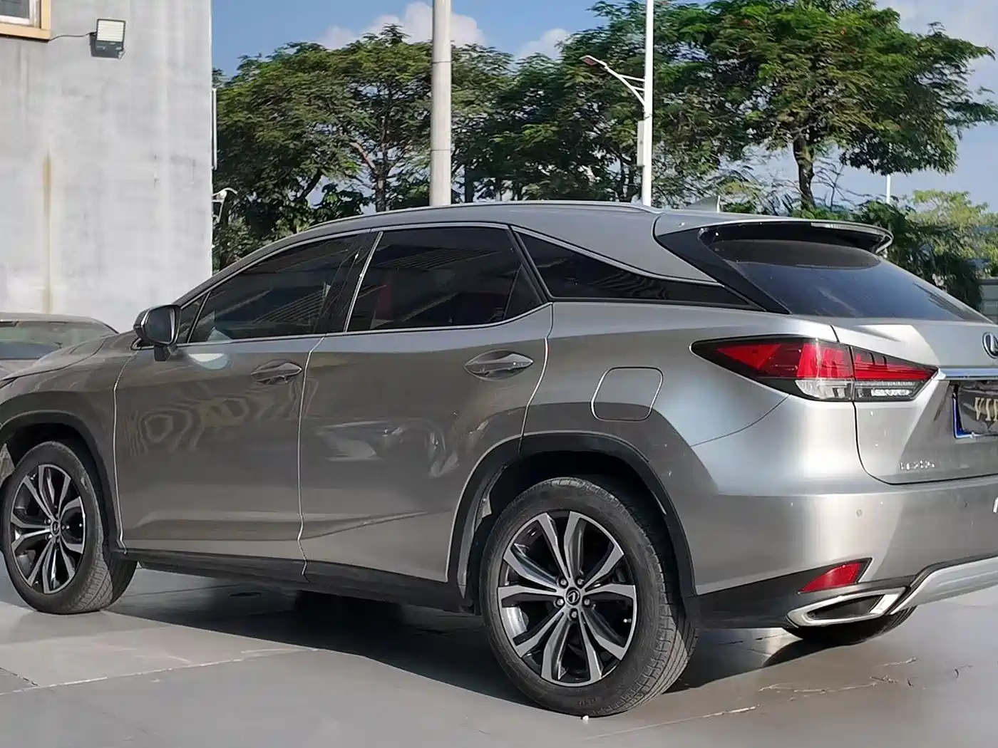 Lexus RX 2020 300 4WD Elegance Edition China VI фото 5