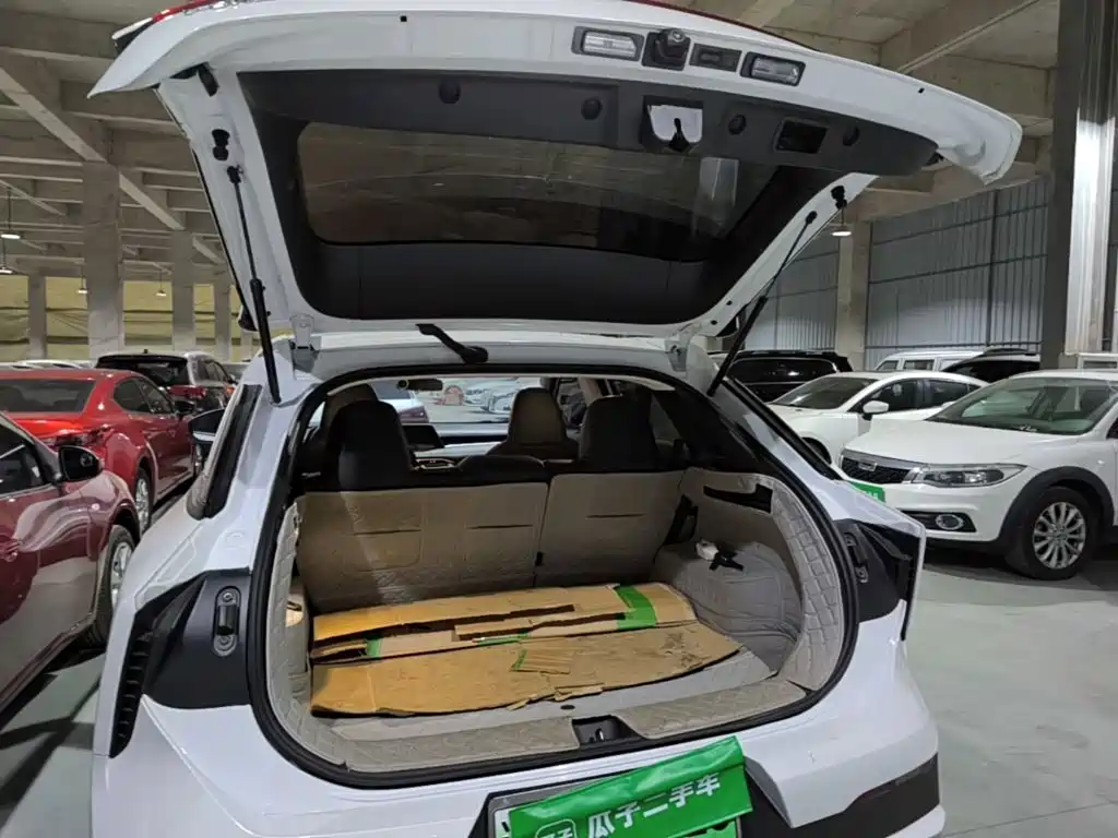 Venucia DaV DD-i 2024 2023 110km iE Edition