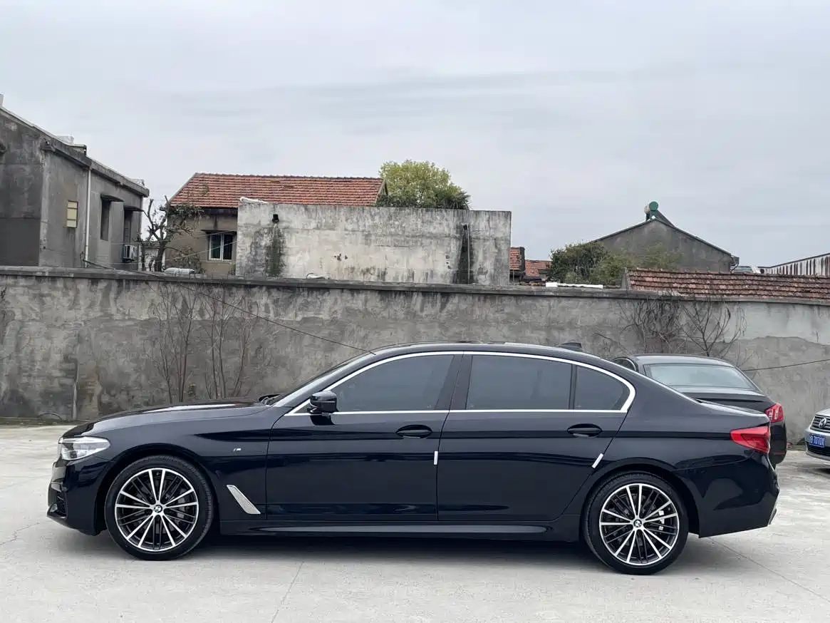 BMW 5 Series 2020 530Li Leading M Sport Package фото 14
