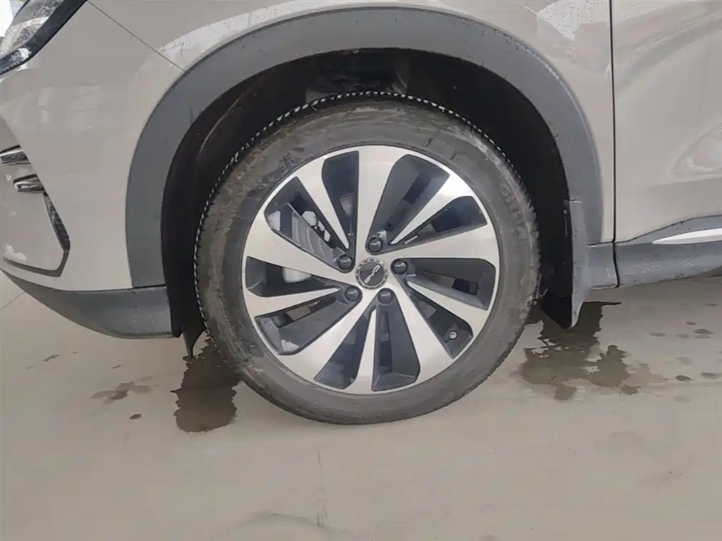 BYD Song PLUS PHEV 2024 Glory Edition DM-i 110km Flagship фото 22