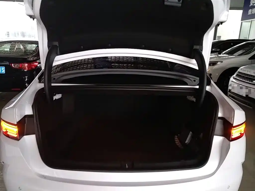 BYD Destroyer 05 2025 Model DM-i 55KM Smooth Ride Edition фото 19