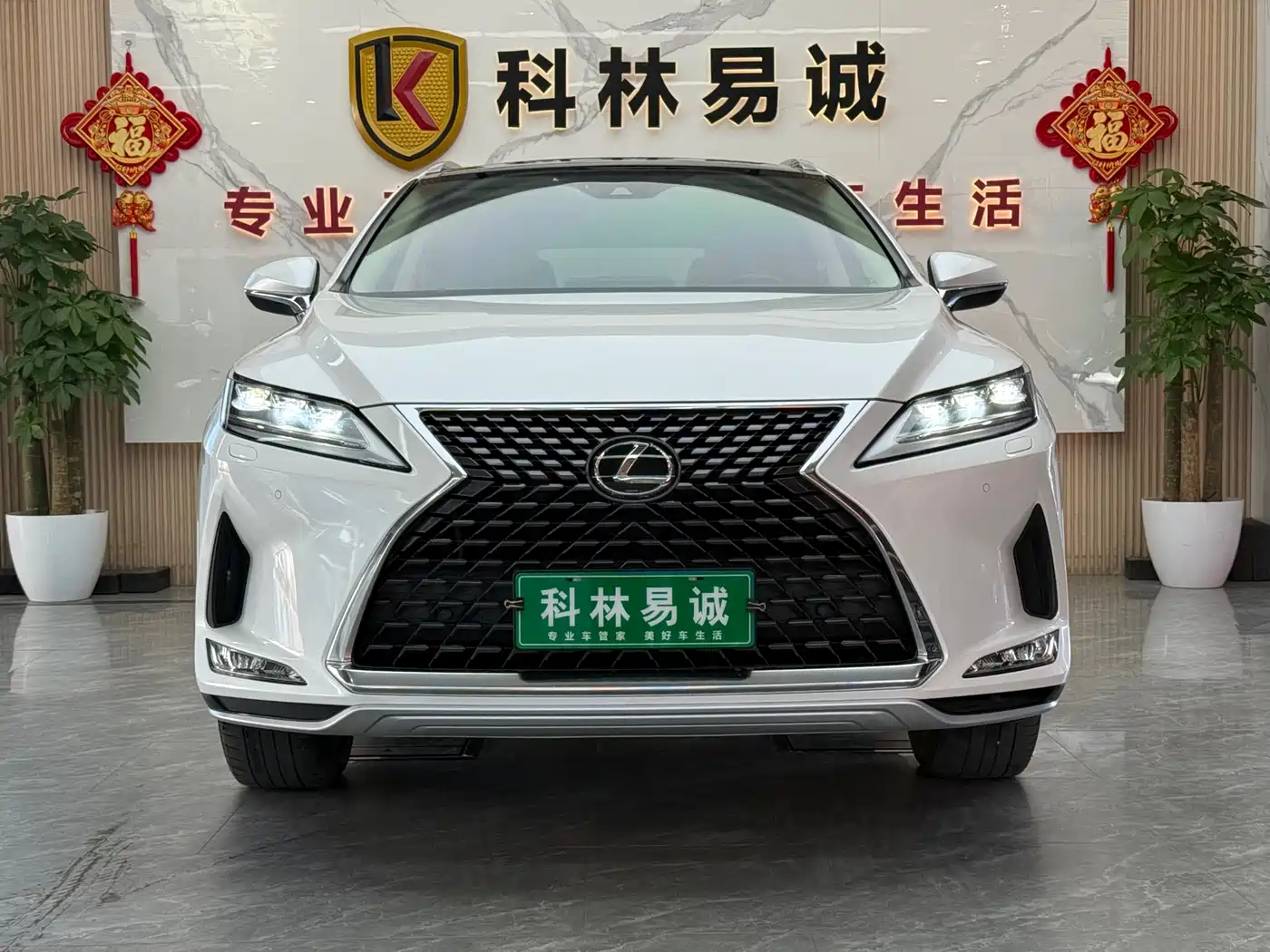 Lexus RX 2020 300 4WD Elegance Edition China VI фото 2