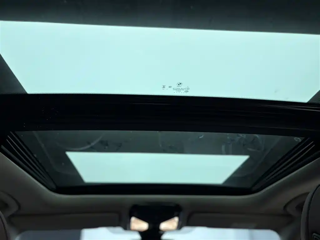 BMW 3 Series 2023 325Li M Sport Black Night Package фото 8