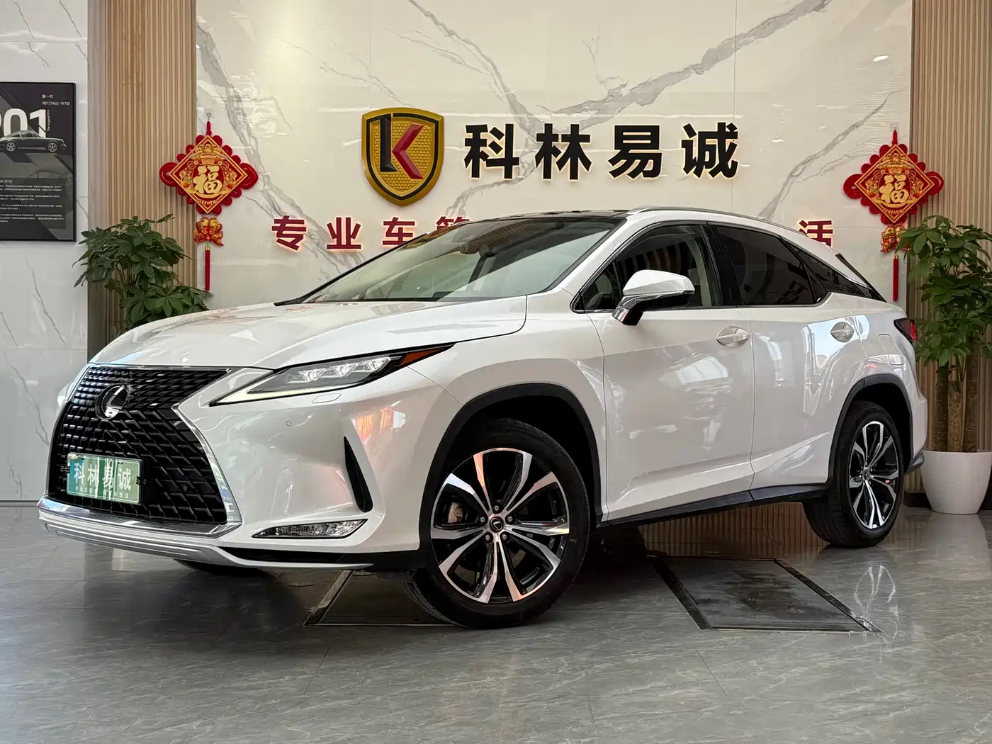 Lexus RX 2020 300 4WD Elegance Edition China VI