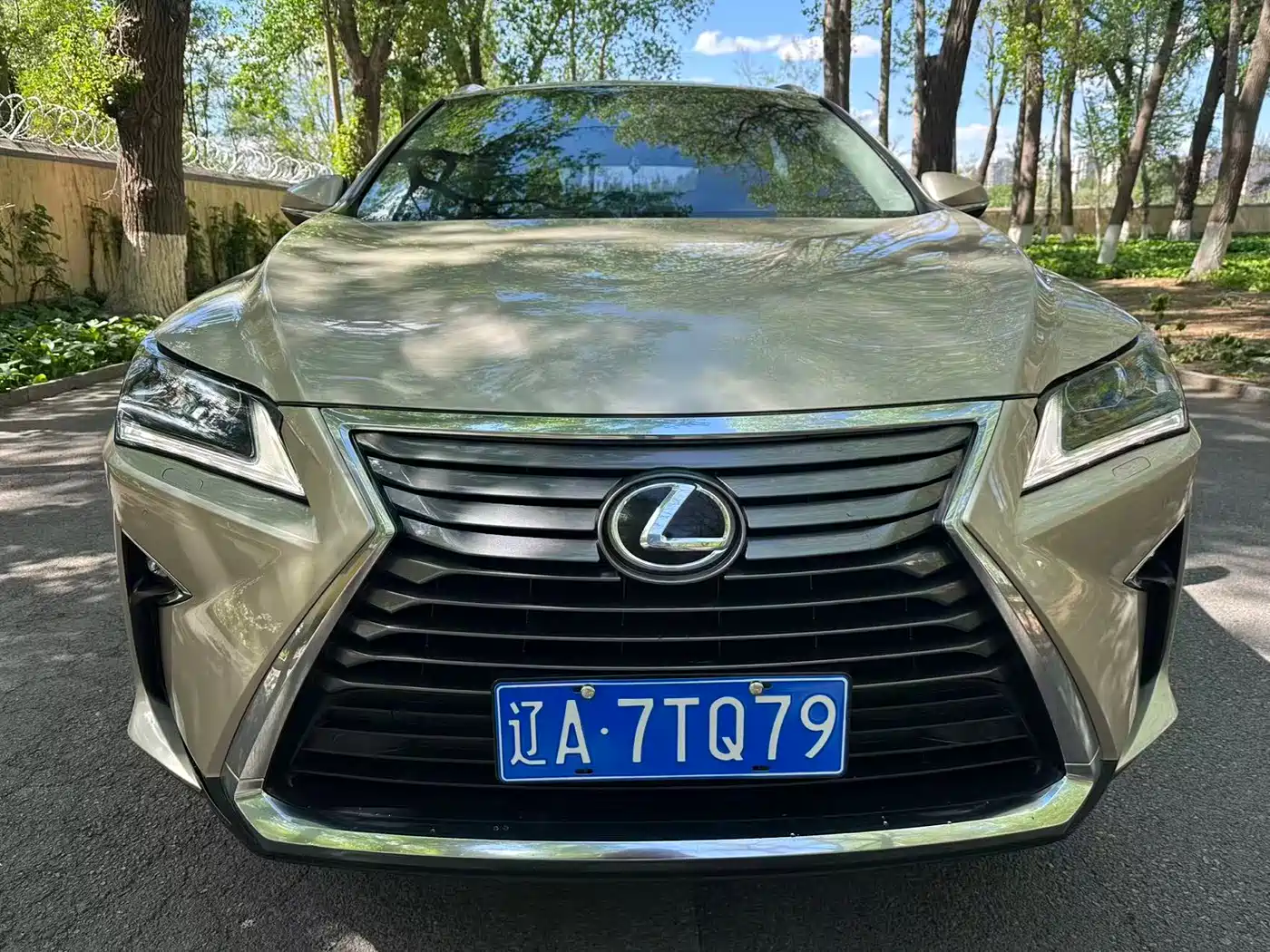 LEXUS RX