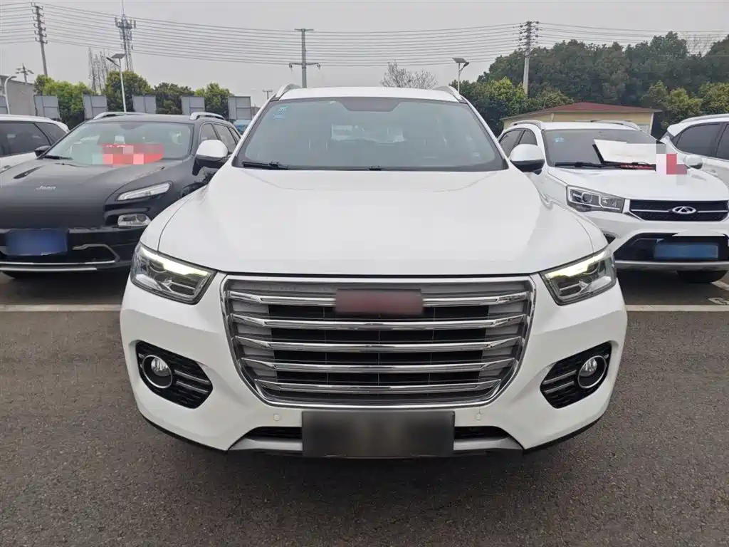 Haval H6 2017 Red Label 2.0T Auto 2WD Smart фото 3