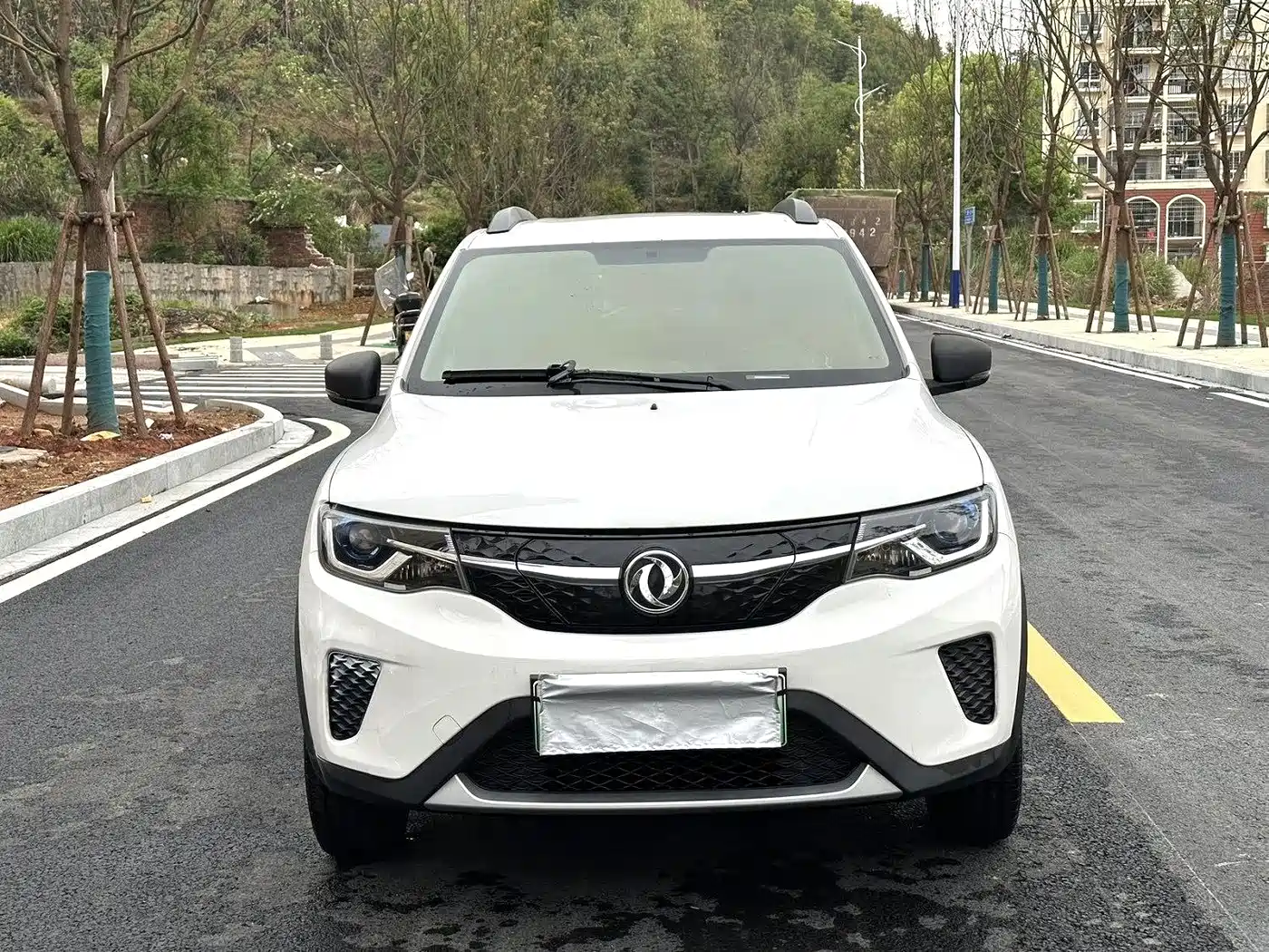 2022 Dongfeng Yipai Dongfeng Nano EX1