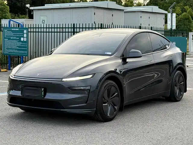Tesla Model Y Увеличенный запас хода, полный привод, Премьерная