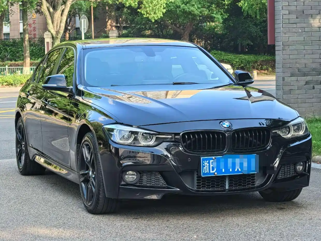 BMW 3 Series 2018 320Li M Sport Black Night Edition фото 3