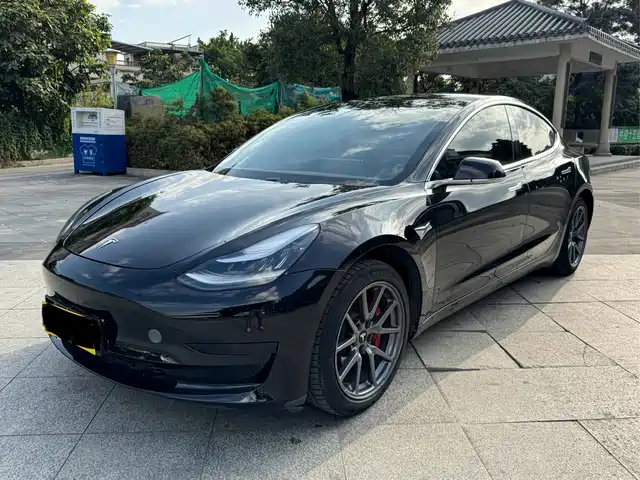Tesla Model 3 2020 Standard Range Rear-Wheel Drive Upgrade