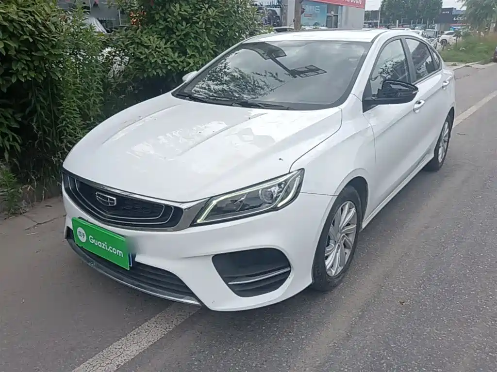Geely Binrui 2020 1.4T CVT Luxury