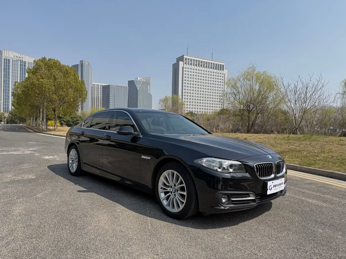 BMW 5 Series 2014 520Li Elegance фото 3