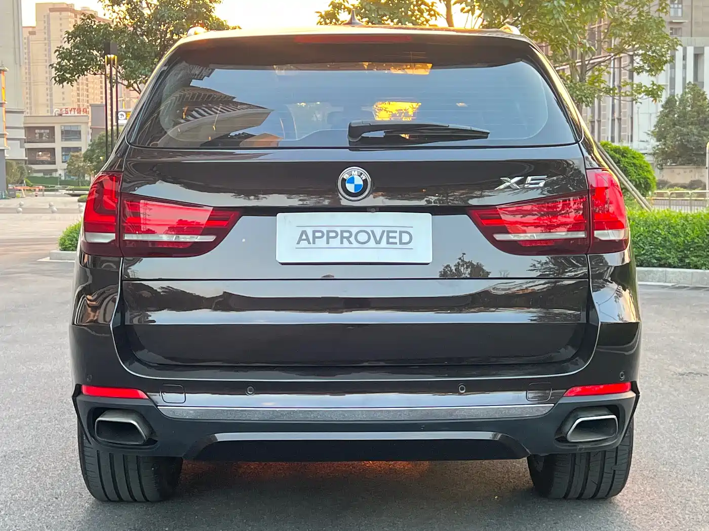 BMW X5 (Import) 2017 xDrive35i Luxury Edition фото 4
