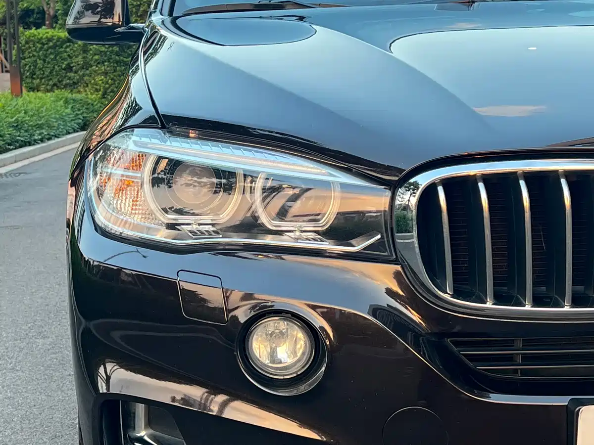BMW X5 (Import) 2017 xDrive35i Luxury Edition фото 8