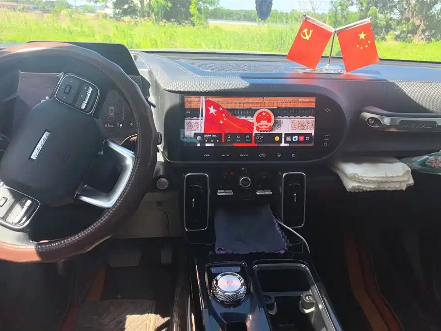 Haval Big Dog 2021 1.5T DCT 2WD Border Collie Edition фото 13