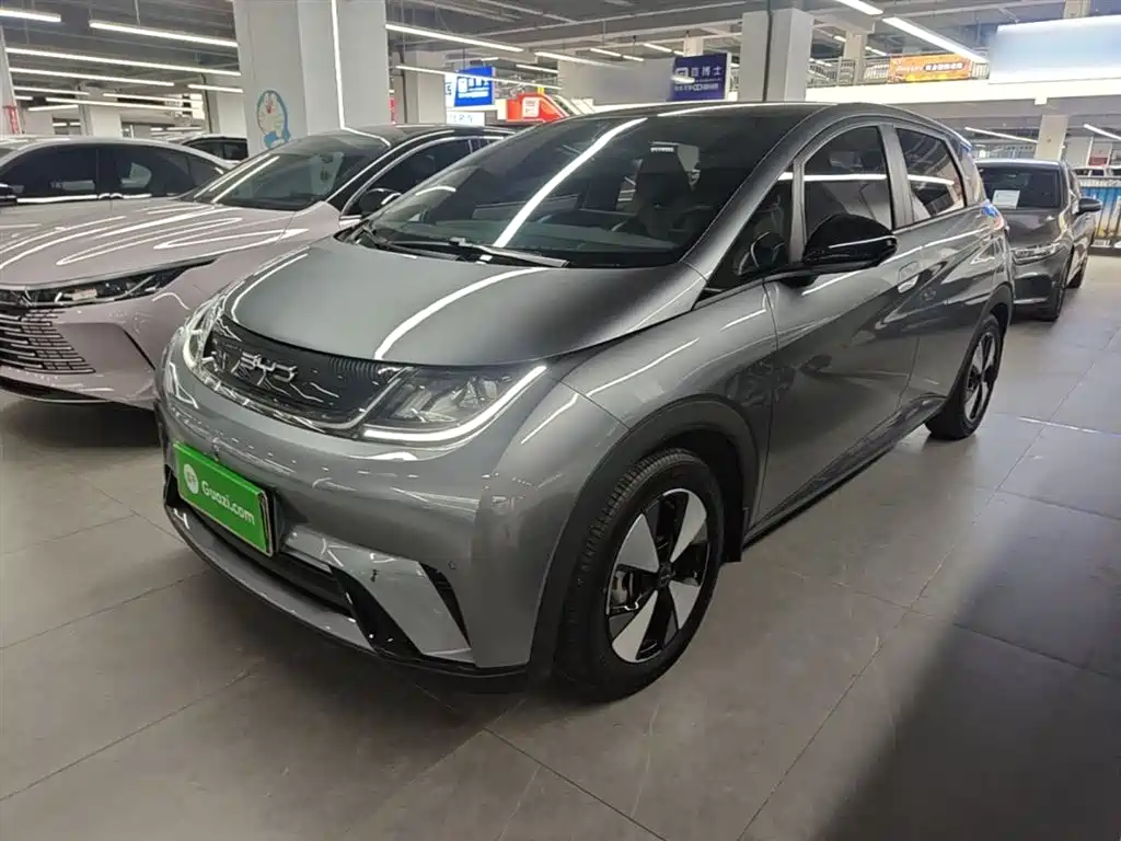 BYD Dolphin 2023 420km Fashion Edition фото 2